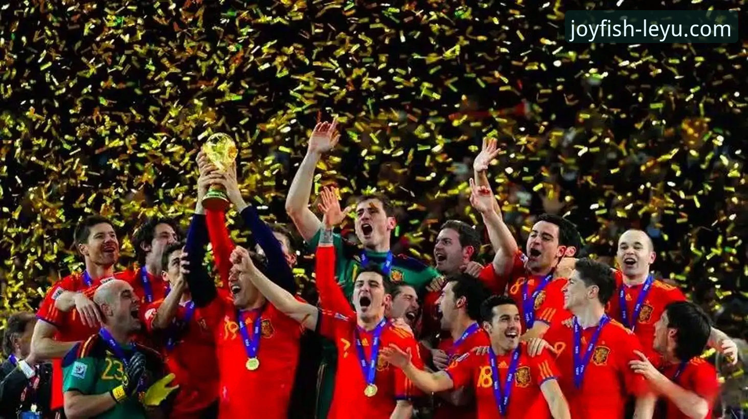 乐鱼APP最新版本v2.0.4观赛指南：深度解析阿根廷队世界杯前突发伤情